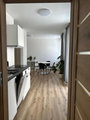 Apartmán ERUDITO Královský vršek Jihlava